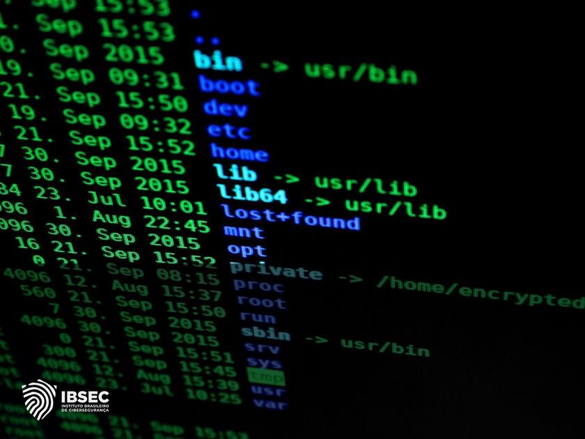 Plug and Pwn: Ataque em Drivers PnP no Windows