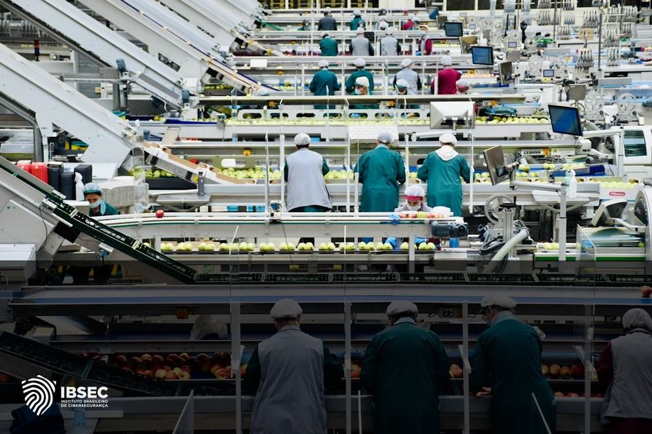 Ataques cibernéticos ameaçam indústria alimentícia global