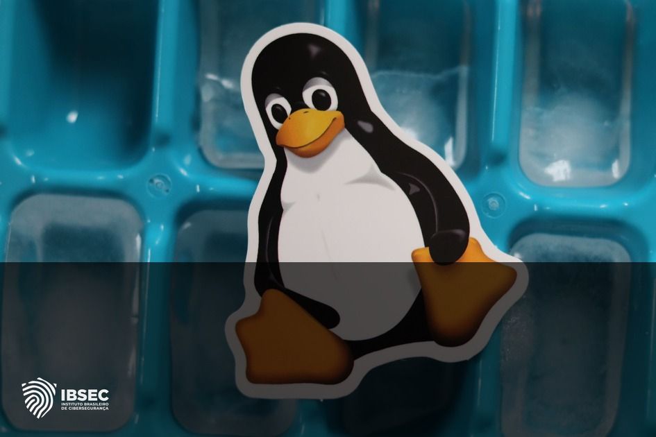 Linux Kernel: Exploração Ativa de Falhas Críticas